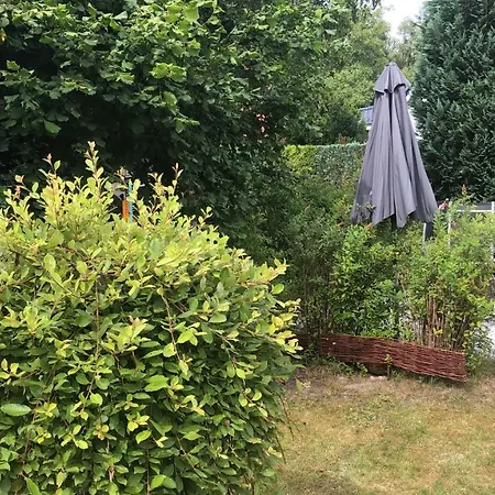 Ferienbungalow Arnold Ferienhaus Trassenheide